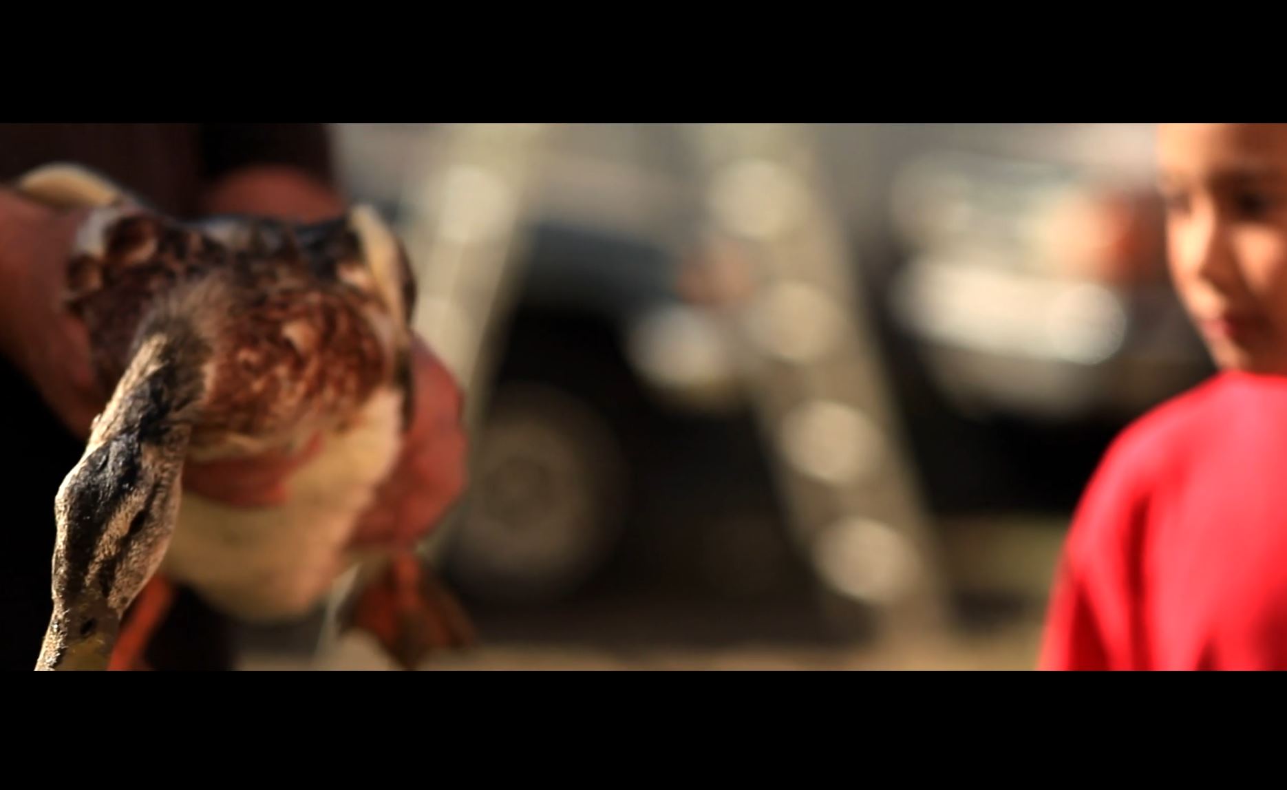 Extrait du documentaire Cowspiracy