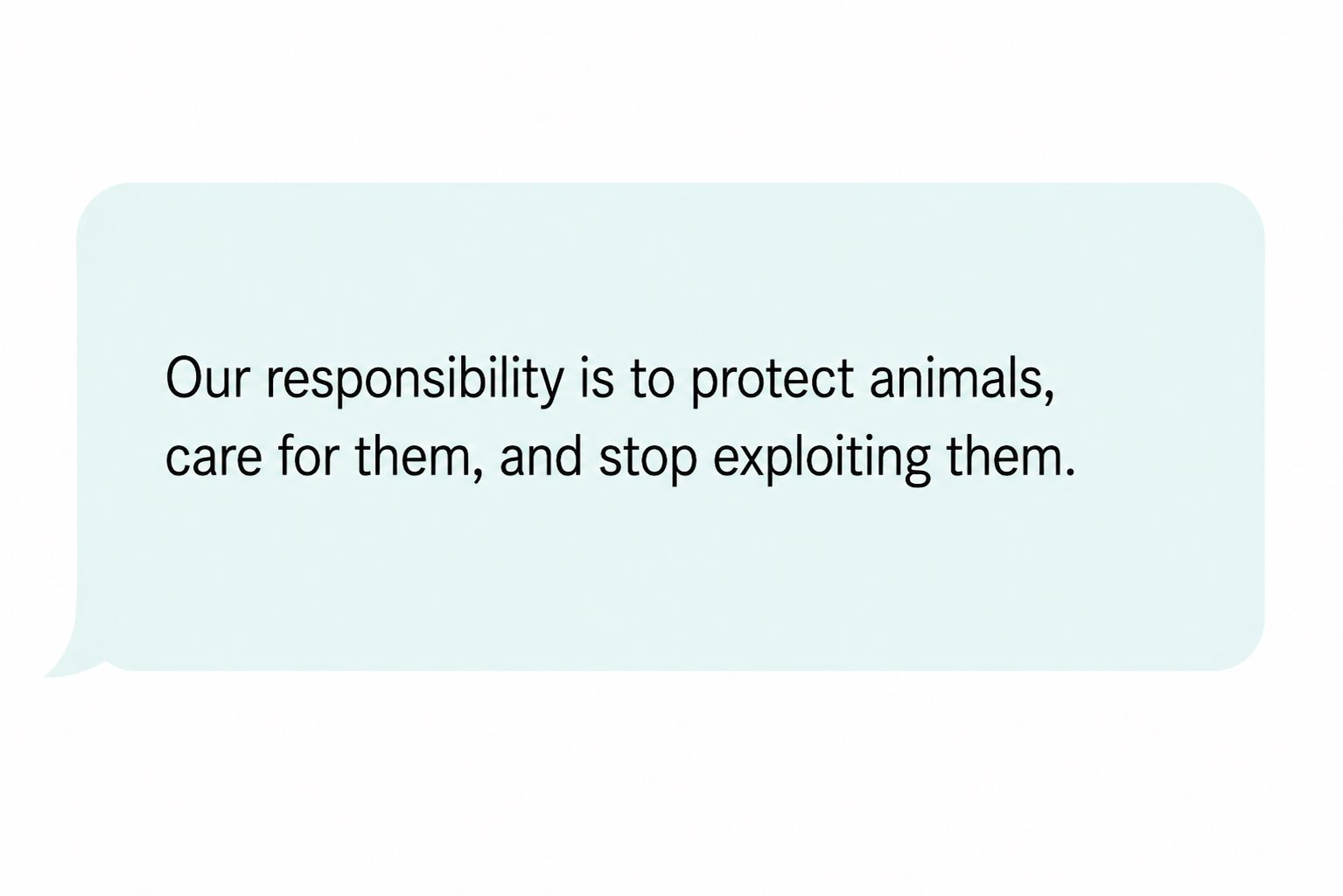Comment: “Our responsibility is to protect animals, care for them, and stop exploiting them.”