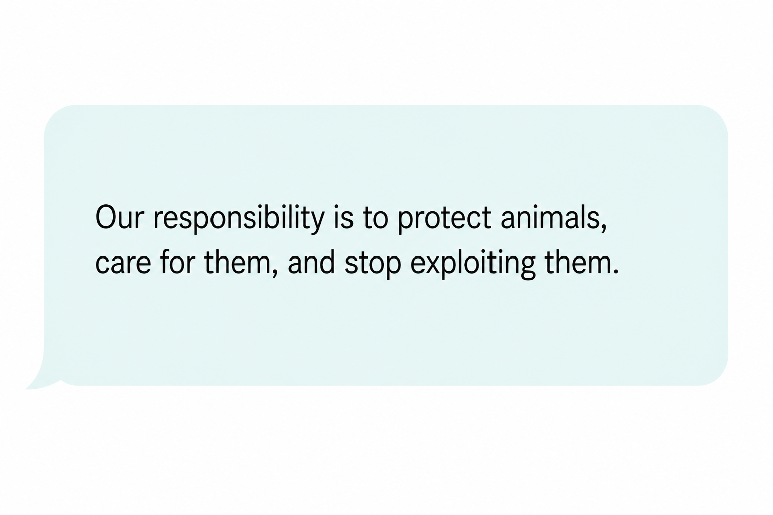 Comment: “Our responsibility is to protect animals, care for them, and stop exploiting them.”
