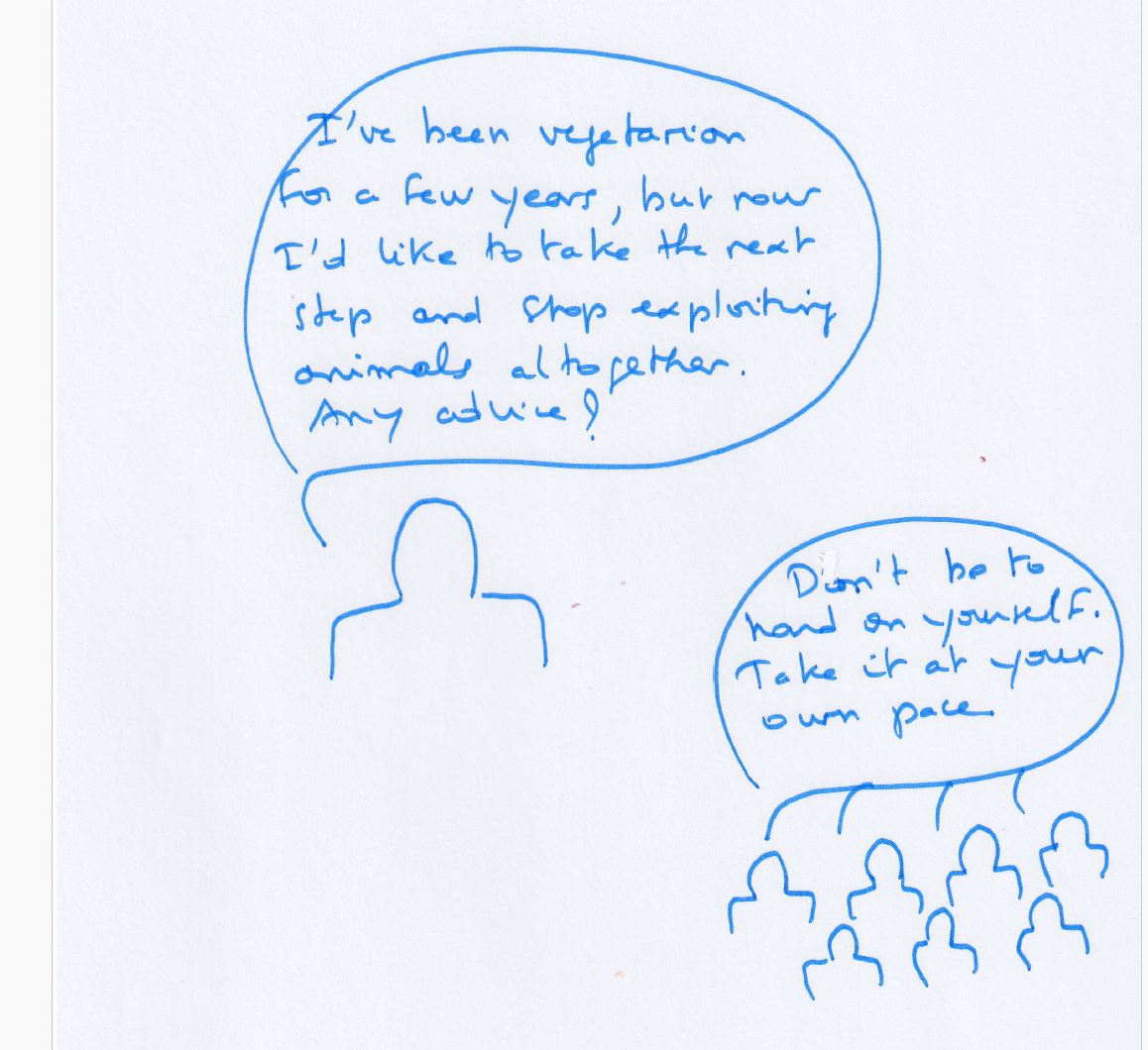 Drawing: a person says “I've been vegetarian for a few years, but now I'd like to take the next step and stop exploiting animals altogether. Any advice?” The crowd replies: “Don't be too hard on yourself. Take it at your own pace.”