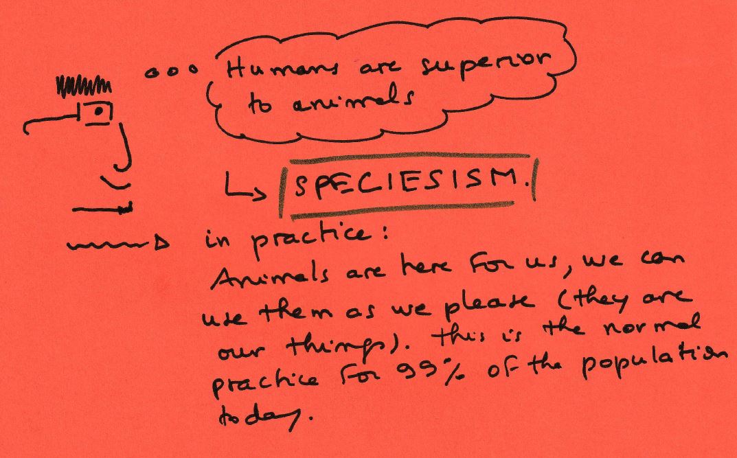 Drawing: a character thinks “Humans are superior to animals.” Arrow to: speciesism. In practice: Animals are here for us, we can use them as we please (they are our things). This is the normal practice for 99% of the population today.