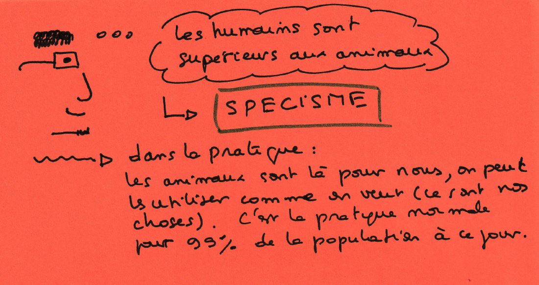 Dessin : un personnage pense « Les humains sont supérieurs aux animaux. » Flèche vers : le spécisme. Dans la pratique : Les animaux sont là pour nous, on peut les utiliser comme on veut (ce sont nos choses). C'est la pratique normale pour 99 % de la population à ce jour.